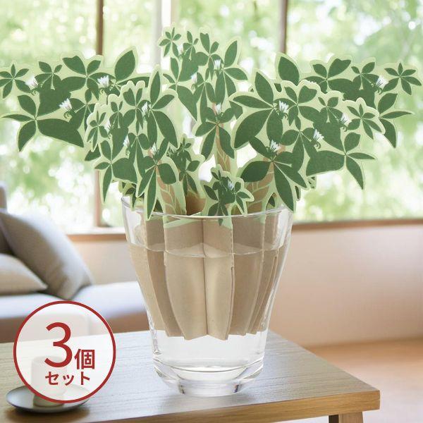 【3個セット】紙の加湿器 どこでもモイスチャー パキラ DM-223 エレメンツ 介護 加湿器 卓上...