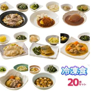 介護食 冷凍 ムース レトルト 冷凍おかず やわらか（代引き不可） HGセットプラス 20種セットおかず ムース食 冷凍食 介護用品｜ekaigonavi