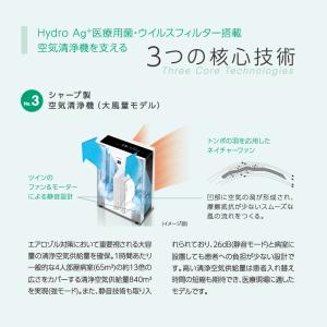 (法人送り限定・代引き不可) Hydro Ag...の詳細画像5