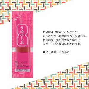介護食 小袋 ご飯のお供 ペースト製品 3種セ...の詳細画像3