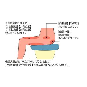アルファックス お医者さんの円座クッション A...の詳細画像3