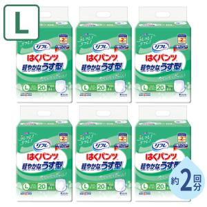 (1ケース) 大人用紙パンツ 男女兼用 約2回分...の商品画像