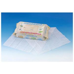 大一紙工 ボディウエットスティックタオル 特大サイズ(30cm×60cm) 1枚