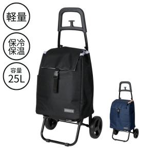 新品　イーストアイ　セーフティーアーム　交互式　KSAR-C 歩行器　介護用 イーストアイ セーフティーアーム 交互式 KSAR-C シルバー (介護