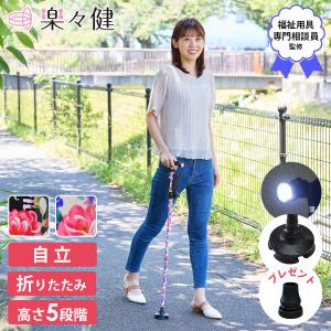 アロン化成 ATTOGRIP アットグリップ トイレサポート H-S 870-087 片側
