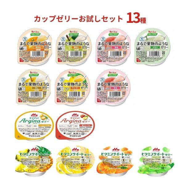 栄養ゼリー お試しセット カップ カップゼリー 13種 お試しセット 高齢者 介護食 ゼリー デザー...