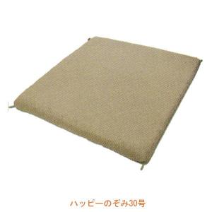 （代引き不可）ハッピーのぞみ30号 9208 40×40×3cm ハッピーおがわ 介護用品｜ekaigoshop2