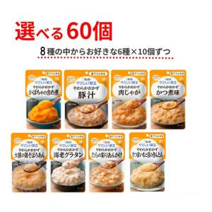 介護食 区分3 選べる 6種×10個 セット やさしい献立 Y3 やわらかおかず 60個 舌でつぶせる まとめ買い 介護用品｜ekaigoshop2