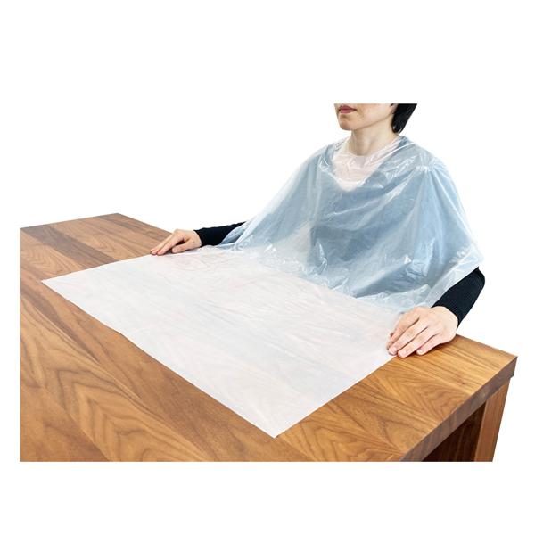 竹虎 食事用エプロン使い捨て 102295　50枚 竹虎 ヒューマンケア事業部 (使い捨て 食事 用...