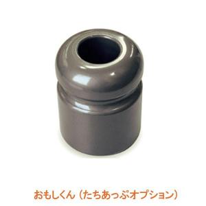 ���������� (���������ՃI�v�V����) ��艻�H ���p�i