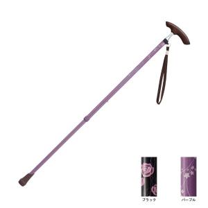 �K�a���쏊 �e�C�R�u�L�k��X�����f�B�[CAE04�i�L�k�X�e�b�L�@�������@�t�H�[�}���X�e�b�L�@��j ���p�i