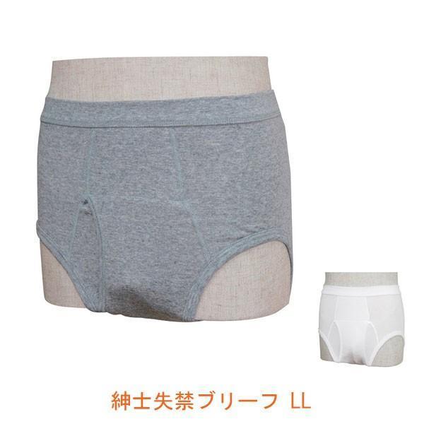 紳士 失禁ブリーフ W660 LL ウエル (男性用失禁パンツ 尿漏れパンツ 吸収量約40cc) 介...