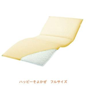 パラマウントベッド（PARAMOUNT BED） (代引き不可・個人宅限定