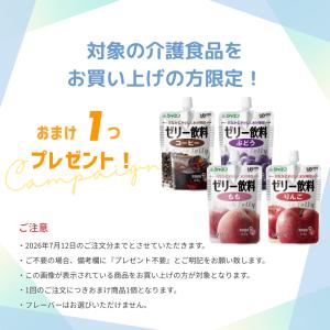 【おまけつき】介護食 ミキサー食 やわらか食 ...の詳細画像5