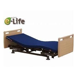 �i������s�j�O�����c �C�[���C�t�@�Q���[�^�[�^�C�v�@�^�@�f-�d�k�Q�q�X�P�m(�d���x�b�h�@���x�b�h�@�ꏰ�x�b�h) ���p�i