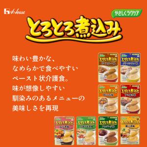 介護食 かまなくてよい レトルト やさしくラク...の詳細画像2