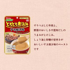 介護食 かまなくてよい レトルト やさしくラク...の詳細画像4