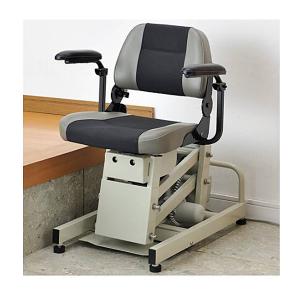 (������s��)�A���R�[6000�^ / 100574 ������Ê퐻�쏊 ���p�i