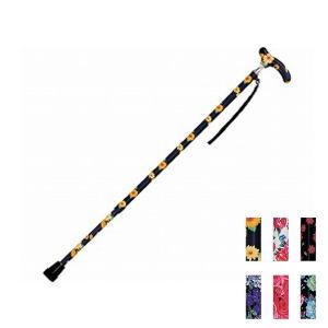 �׎� �L�k �J���[�� HK-BF09 �C���^�[�����N�X (�X�e�b�L �� ��) ���p�i