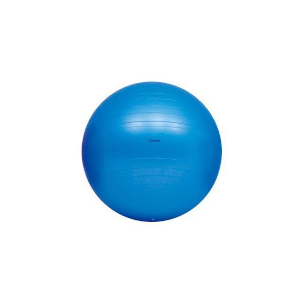 ボディーボール65 / H-7262　青 トーエイライト