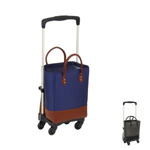 (������s��) �e�C�R�u�@���ƂȂ�J�[�g�@�{�b�N�X�^�C�v�@WCC03�i�V���b�s���O�J�[�g�@�L�����[�o�b�O�@���o�����@�������@�L�����[�J�[�g�j ���p�i