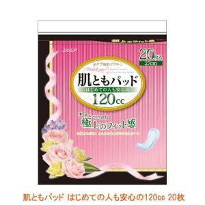 肌ともパッド はじめての人も安心の120cc 479081  20枚 カミ商事 (尿ケア 軽失禁) 介護用品｜ekaigoshop