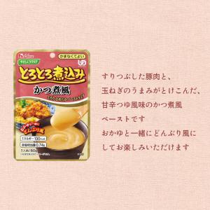 介護食 区分4 かまなくてよい おかず やさし...の詳細画像4