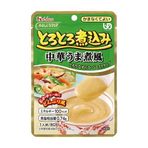 介護食 区分4 かまなくてよい おかず やさしくラクケア とろとろ煮込み 中華うま煮風 80g ハウスギャバン 介護用品