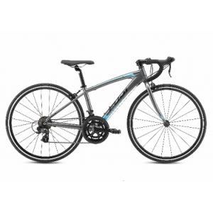 【アウトレット】FUJI（フジ）ACE 650（エース 650） 25-26年モデル　自転車 サイクリング 通勤通学に フィットネス【店頭受け取り送料無料】