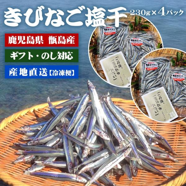 甑島のきびなご塩干し 230g 4袋 (6〜12人前) 季節限定 干物 冷凍 キビナゴ 鹿児島県 お...
