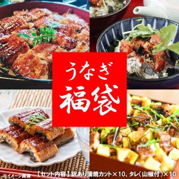 うなぎ 国産 蒲焼き 福袋セット 合計700g以上 訳あり（形不揃い)  九州産うなぎ 鰻 うなぎ ...