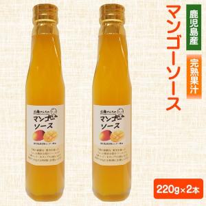 近藤さんちのマンゴーソース 220g 2本 完熟 国産 農家 鹿児島県 お中元 職場 同僚 取引先 産地直送 お取り寄せ ギフト プレゼント 贈り物 送料無料