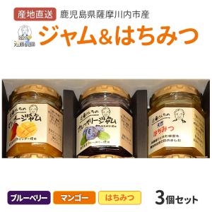 鹿児島県産 はちみつ&フルーツジャム (ブルーベリー・マンゴー) セット 計3個 詰め合わせ 蜂蜜 鹿児島県 お中元 職場 産地直送 お取り寄せ ギフト 送料無料