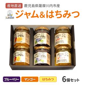 鹿児島県産 はちみつ&フルーツジャム (ブルーベリー・マンゴー) セット 計6個 詰め合わせ 蜂蜜 鹿児島県 お中元 職場 産地直送 お取り寄せ ギフト 送料無料