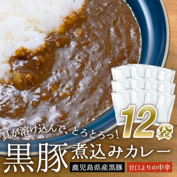 大容量 鹿児島県産 黒豚 煮込みカレー 12袋 業務用 黒豚カレー 濃厚 甘口よりの中辛 ご当地 簡...