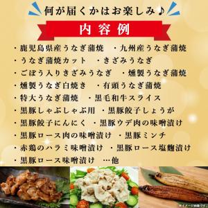 鹿児島の美味しいが届く!お楽しみ福袋 A (お...の詳細画像2
