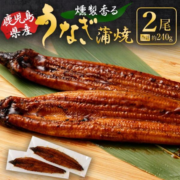 送料無料 燻製香る うなぎ蒲焼き 2尾 合計約240g(約120g×2尾) 鹿児島県産 うなぎ ウナ...
