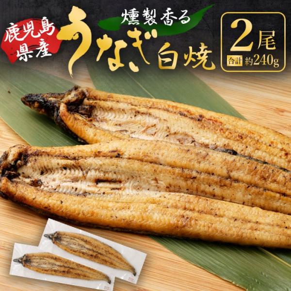 送料無料 燻製香る うなぎ白焼き 2尾 合計約240g(約120g×2尾) 鹿児島県産 うなぎ ウナ...