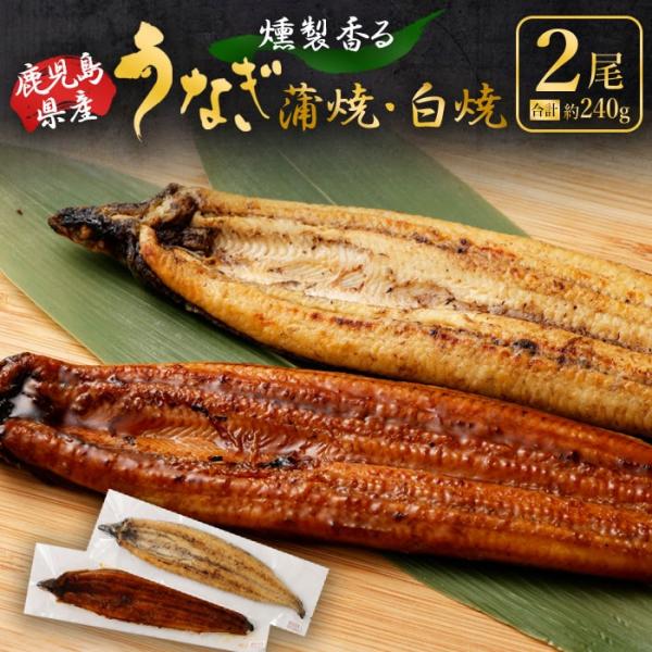 送料無料 燻製香る うなぎ蒲焼き＆白焼きセット 計2尾 約240g 鹿児島県産 うなぎ ウナギ 鰻 ...