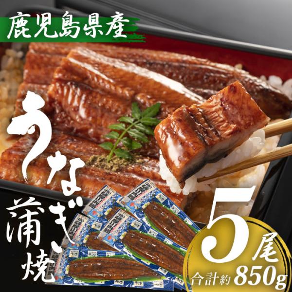 送料無料 鹿児島県産 うなぎ蒲焼き 約170g×5尾 (タレ・山椒付き)  特大 国産  鹿児島産 ...