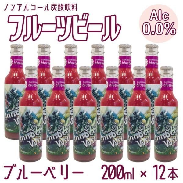 ノンアルコール フルーツビール  ブルーベリー×12本 炭酸飲料 アルコールゼロ クラフトビール 果...