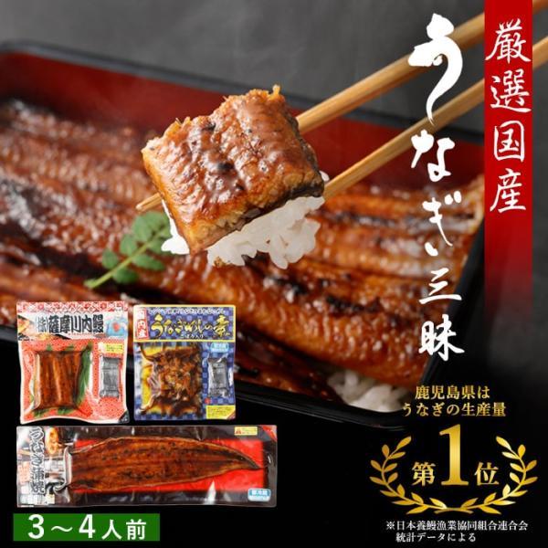 送料無料 国産 うなぎ蒲焼き 3種 詰め合わせ ( 蒲焼き ハーフサイズ きざみうなぎ ) セット ...
