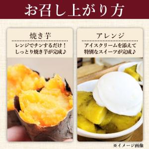 国産さつま芋使用 スプーンで食べるさつまいも ...の詳細画像4