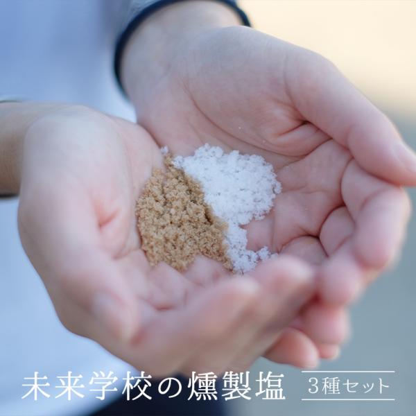 送料無料 燻製塩 3種セット（桜・ヒノキ・ヒッコリー）     甑島 天然塩 鹿児島 薩摩川内 オフ...