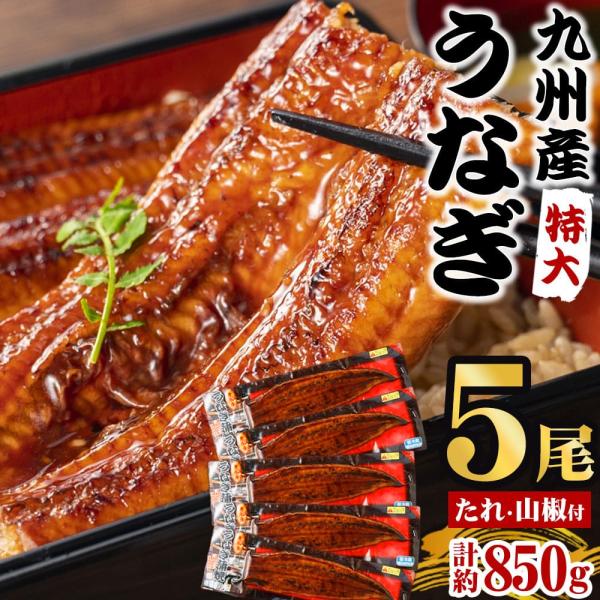 送料無料 厳選 国産 うなぎ蒲焼 職人の味 5尾 約850g (約170g×5尾) うなぎ 蒲焼き ...