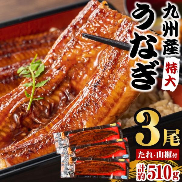 送料無料 国産 うなぎ蒲焼き 約170g×3尾 うなぎ 蒲焼き 鹿児島 170g 3尾 薩摩川内うな...