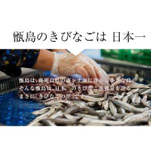 甑島の天日干し干物詰め合せセットB 塩干 天日...の詳細画像1