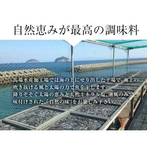 甑島の天日干し干物詰め合せセットB 塩干 天日...の詳細画像2