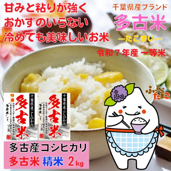 新米 多古米 特選多古米 2kg たこまい こしひかり 精米 千葉県多古産 コシヒカリ 白米 2キロ...