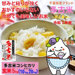 コシヒカリ 新米 多古米 たこまい 30kg 精米 27kg 千葉県多古産